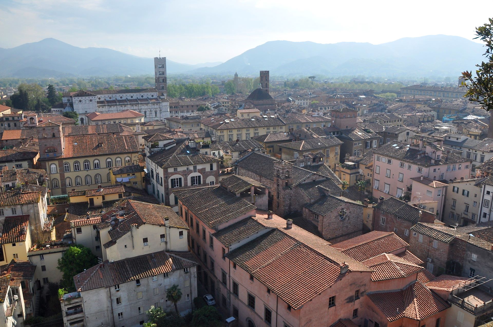 Lucca, Torre Guinigi